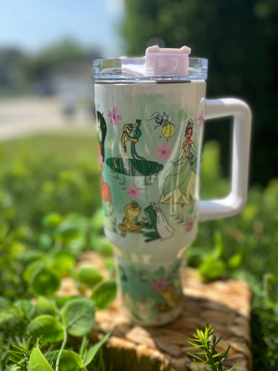 Tiana Princess Disney The Prince and The Frog 30oz or 40oz Tumbler Fan Gift, Tiana and Naveen Couple Fan Gift, Tumbler with handle Princess frog Tumbler Birthday Anniversary Gift HFN